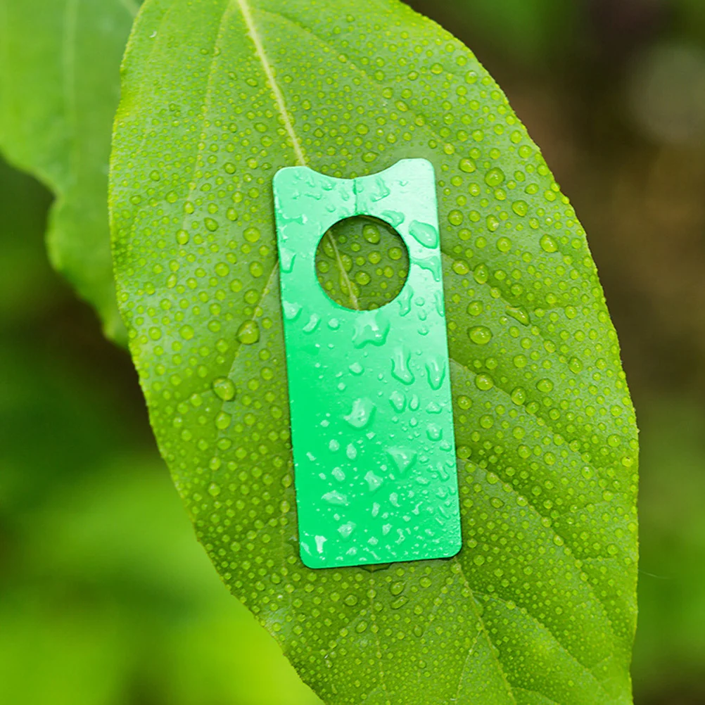 500 PCS Plant Tree Tags Identification Board Gardening Hanging Collar Nursery Labels