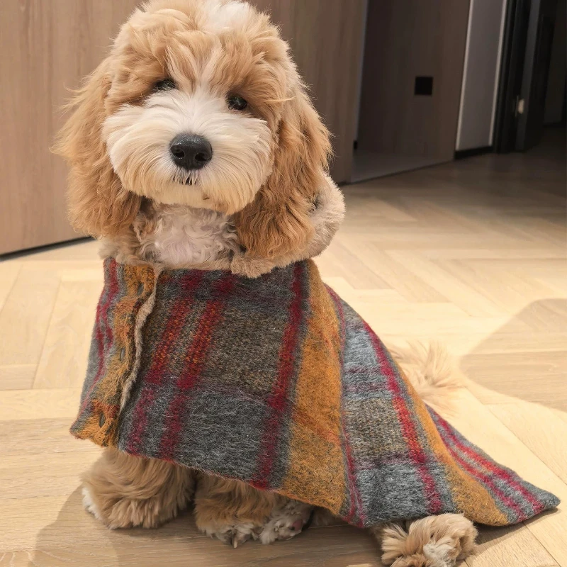 

Christmas Fashion Plaid Cape Coat Small Dog Cat Shawl Cape Fall and Winter Warm Thickened Dressing Gown British Style Cashmere