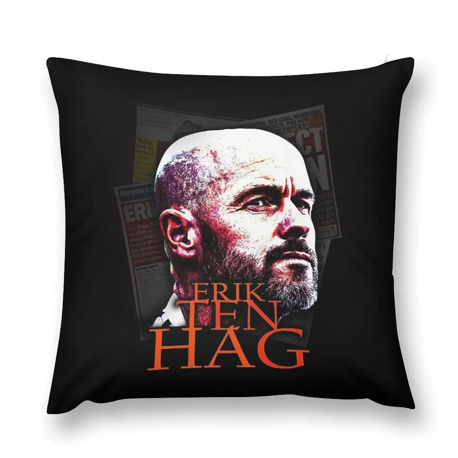 ERIK TEN HAG Throw Pillow Luxury Pillow Case Rectangular Cushion Cover Room decorating items pillow