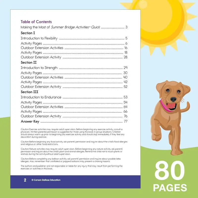 Summer Bridge Activities Quick Workbook Grade 23 Carson Dellosa Education Carson Dellosa Education 9781483874937 Book