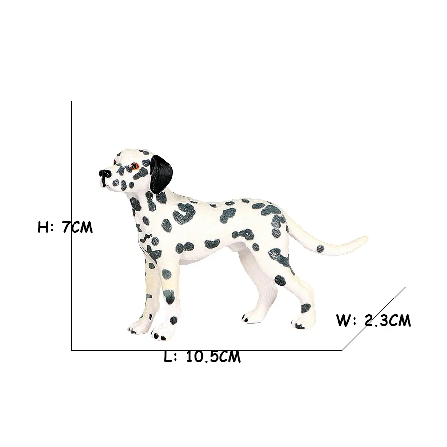 Labrador Poodle Rottweiler Bona Beagle Dog Animal Figurines Action Figure Toy Educational Kids Gifts Collectible Home Decor Game