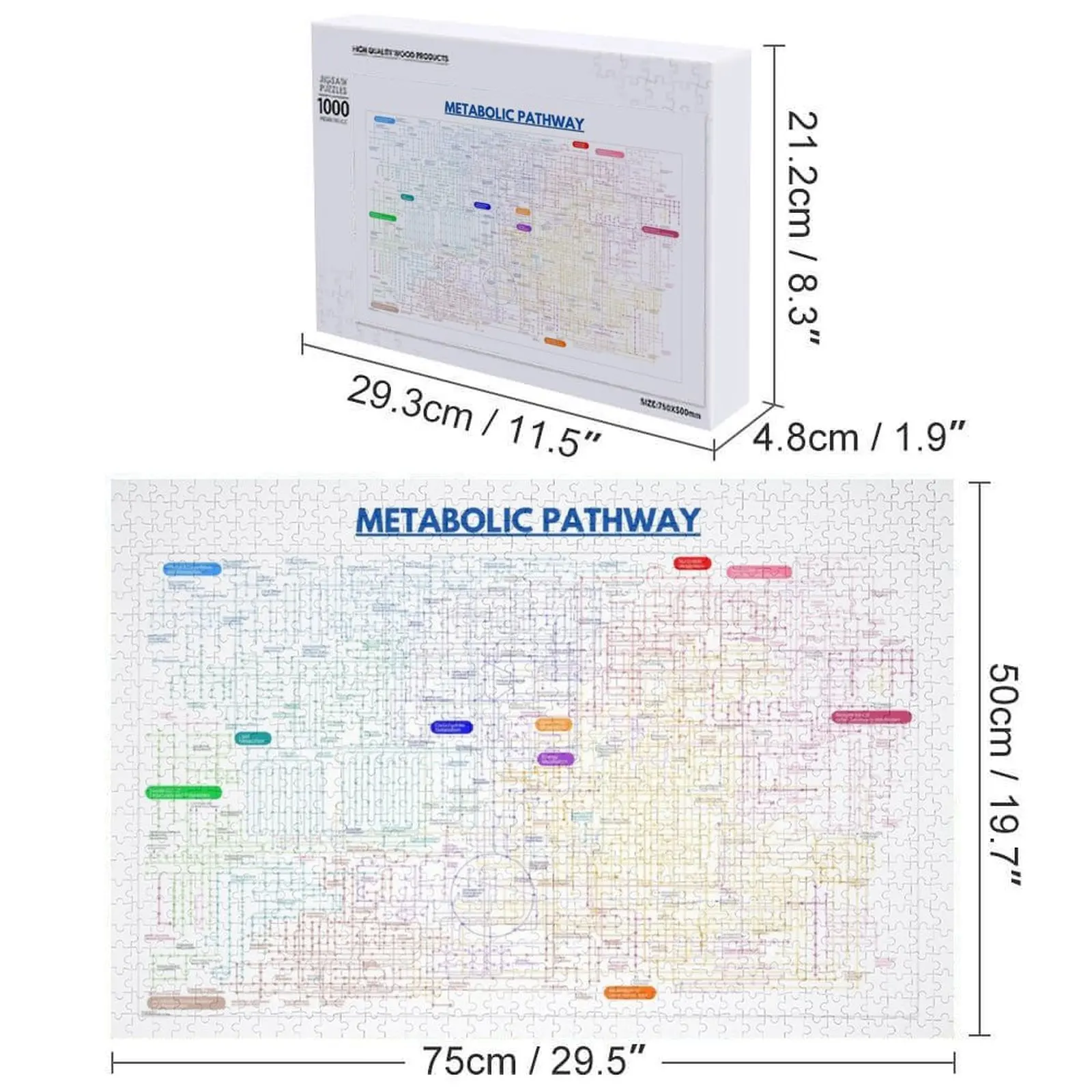 Mappa del percorso metabolico Jigsaw Puzzle Personalizza Personalizza Puzzle per bambini