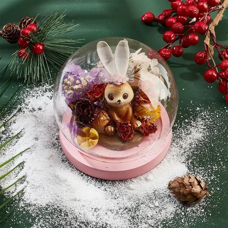 1 Set Glass Dome Glass Display Showcase Decorative Display Dome Miniature Case Snowglobe for Fairy Lights Plants Flower