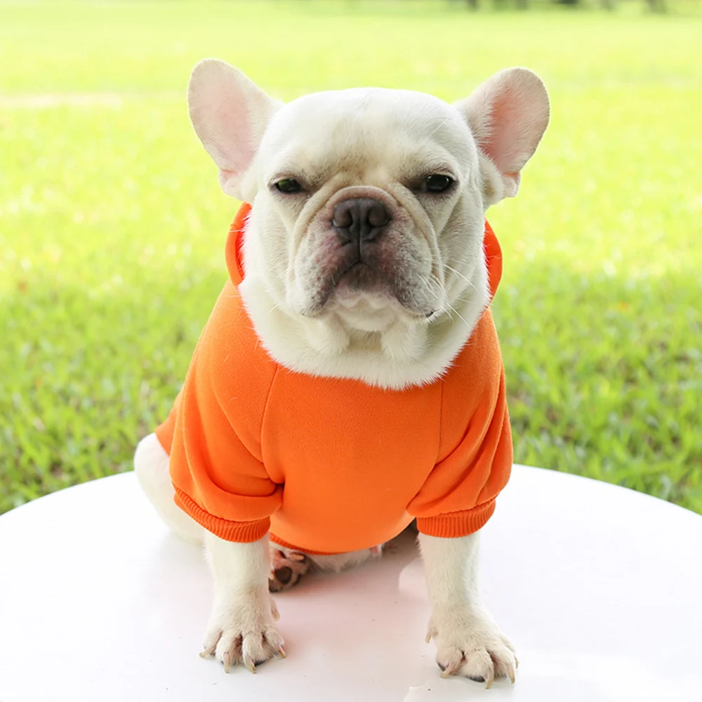 Puppy Apparel Outfit Pet Costume Solid Color Two-legged Warm Clothes Cat Dog Pullover Clothes Hoodies With Pockets DIY Soft