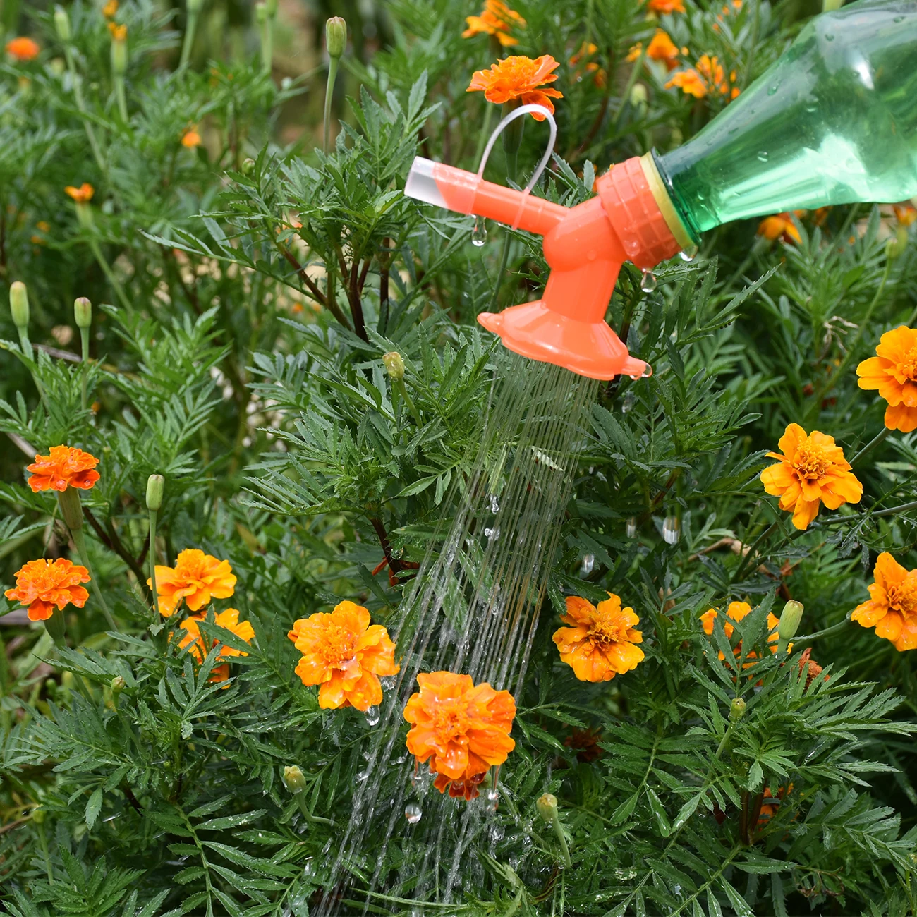 Garden Bottle Cap Sprinker Mini Watering Can Double Head Water Spout Bonsai Nozzle Indoor Outdoor Seedling Plant Irrigation Home