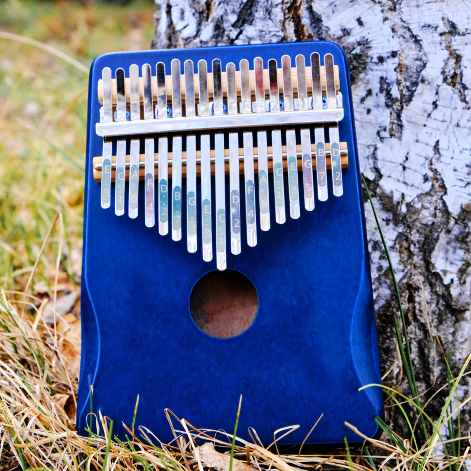 

2Pcs Kalimba Thumb Piano Sticker Colorful Note Decal Beginner Practice Keyboard Label Efficient Visual Learning Tool