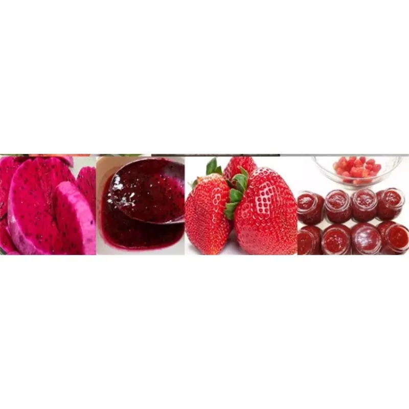 Food Grade Small 120kg/h Avocado Pulp Processing Machine mango Fruit Pulp Machine