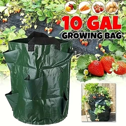 10 gallon polyethylene strawberry planting bag Plant nutrition bag, planting bag, breathable plant planting bag, can grow plants