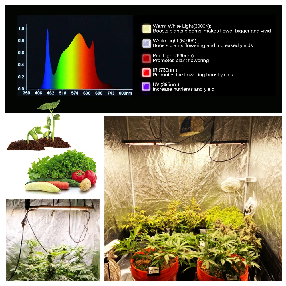 AC100-277V led wachsen licht 120w 240w lm301h für grüne pflanzen hohe helligkeit 288 stücke dimmbar für gemüse blumen