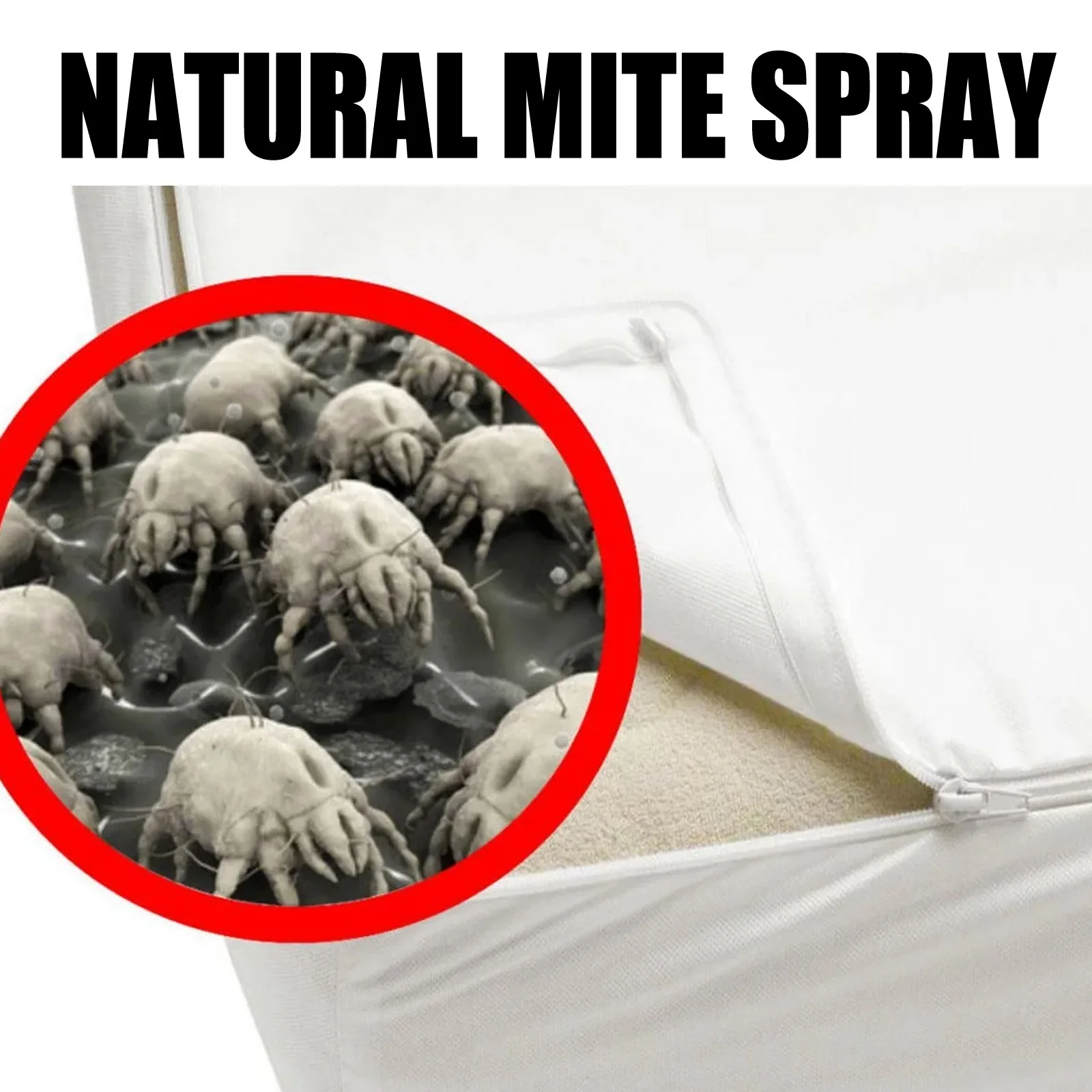 Dust Mite Killing Spray Removal Mite Indoor Clean Mite Exterminating Bedbug Killer Mite Removal Spray Pet Cleaner for Home Beds