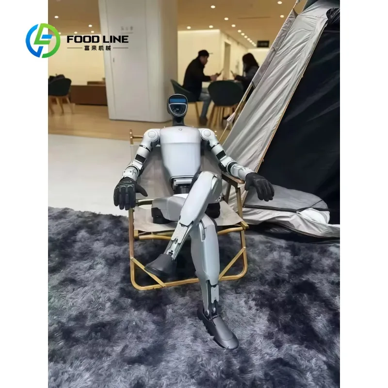 Customized Multi-Purpose Humanoid Robot with Customizable Programs for Sports Entertainment and Industrial Use