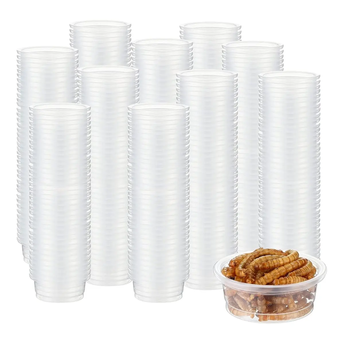 300 Pcs Gecko Food and Water Cups Small Plastic Feeder Cups Reptiles Accessories Reptile Water Bowl Gecko Food Cups