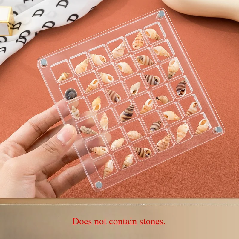 Acrylic Seashell Display Box for Jewelry, Durable Trinket Storage