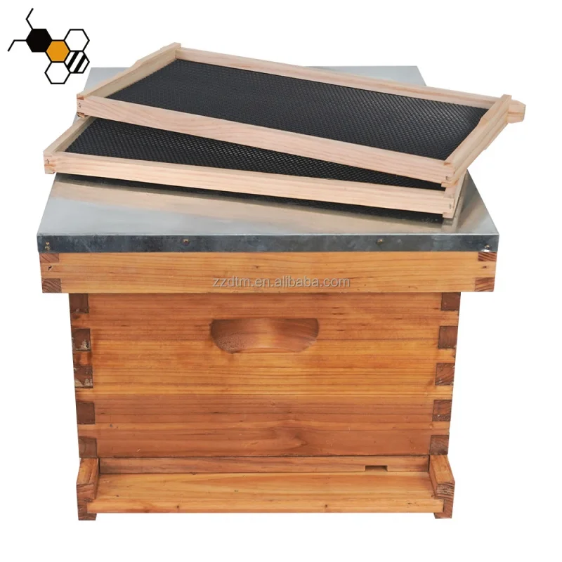 Complete 10-Frame Langstroth Kit, New Layered Wax Beehive Set