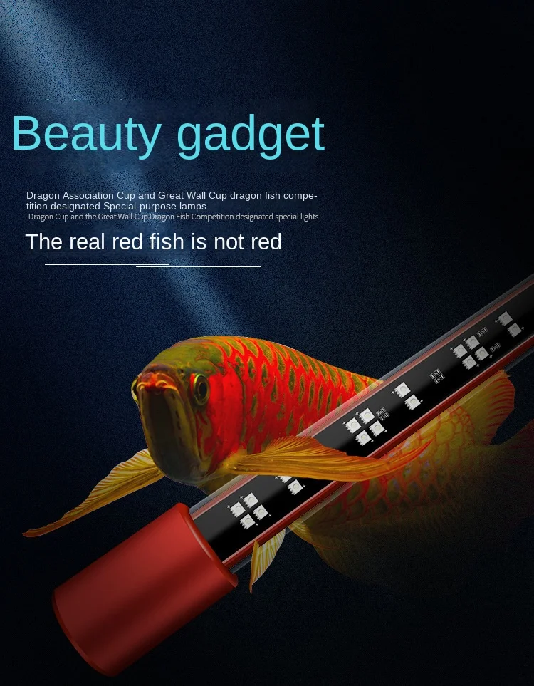 Red Arowana Lamp Special Glass Brightened Color IP65 Diving Light