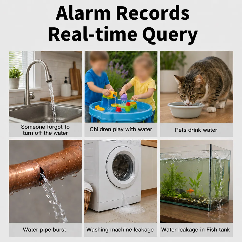 Tuya Smart WIFI Waterlekkage Sensor Alarm Waterniveau Detector Overstroming Lekkage Sensor APP Afstandsbediening Beveiliging Alarmsysteem