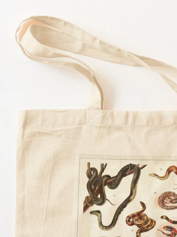 Adolphe Millot - Batraciens et reptiles - ملصق حيوان فرنسي عتيق حقيبة حمل حقائب رجالية حقائب كبيرة للنساء