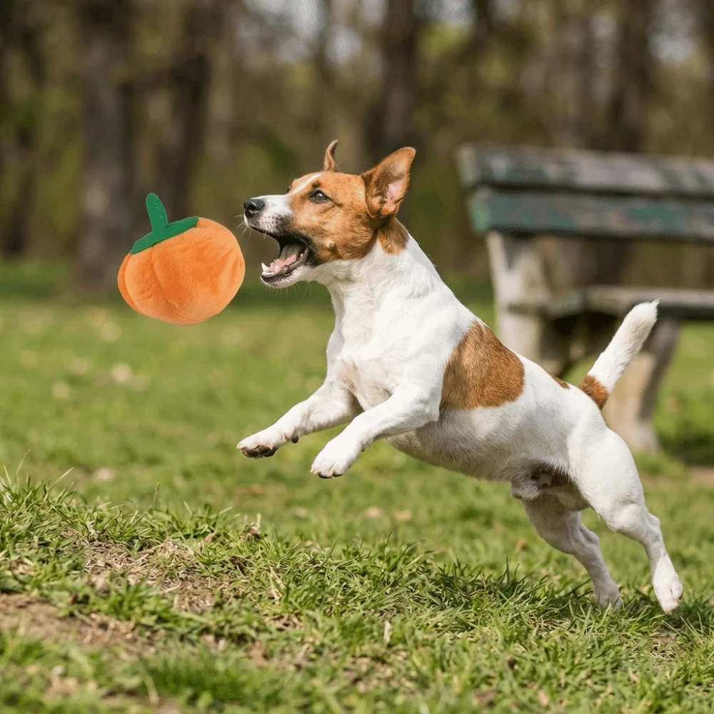 Playtime Companion Soft Pet Interior Pumpkin Shaped Squeaky Dog Squeaky Insert Orange Chew Pet Boredom Relief