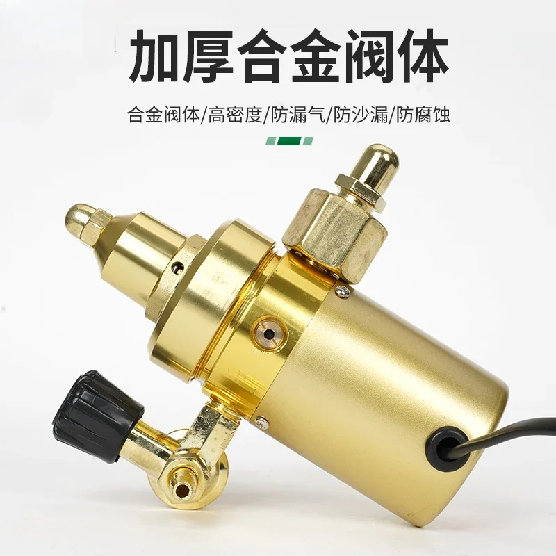 Carbon Dioxide Meter Shock Reducer 36V 110V 220V Electric Heating C02 Pressure Valve Pressure Reducing Valve