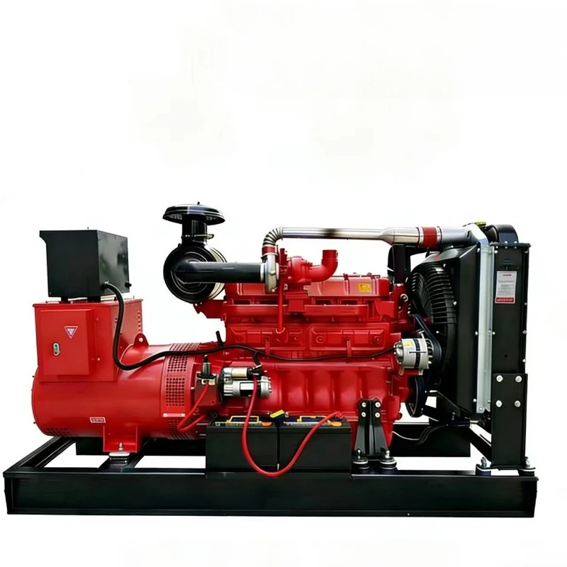 Customized 20kw Auto Start Remote Control Portable Open Frame Water Cooled Diesel Generator Set Stable Output For Construction U