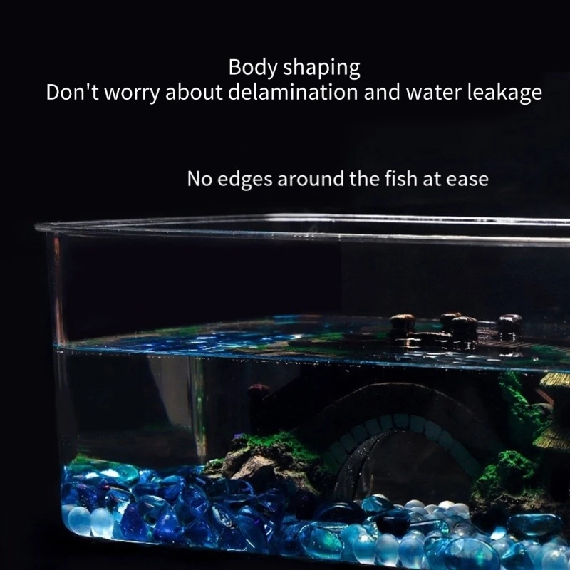 Transparent Aquarium for Creating Unique Underwater Worlds Tabletop Fishtank Drop shipping