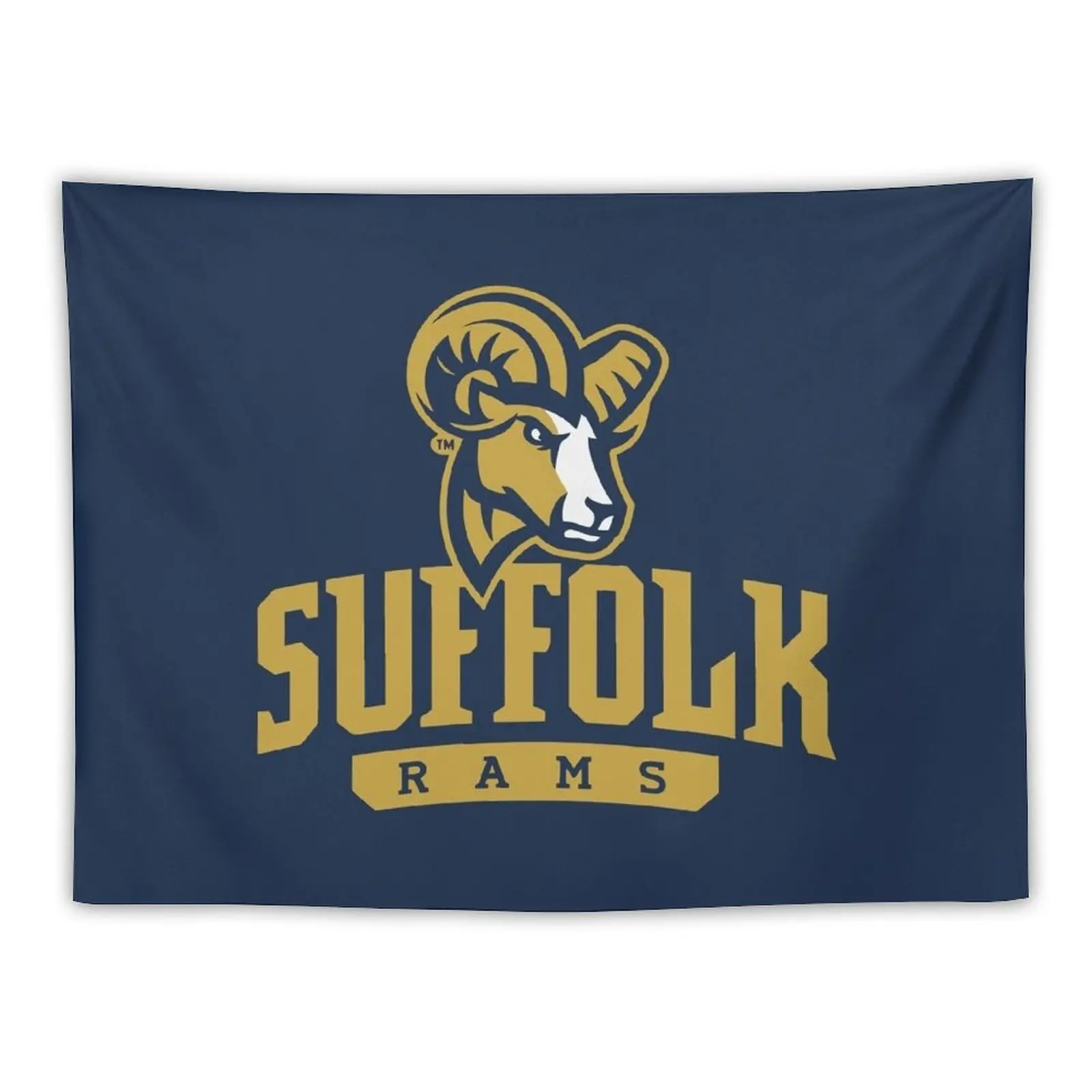 

Suffolk University Tapestry Room Decoration Aesthetic Home Decoration Accessories Decoration Bedroom Funny Tapestry