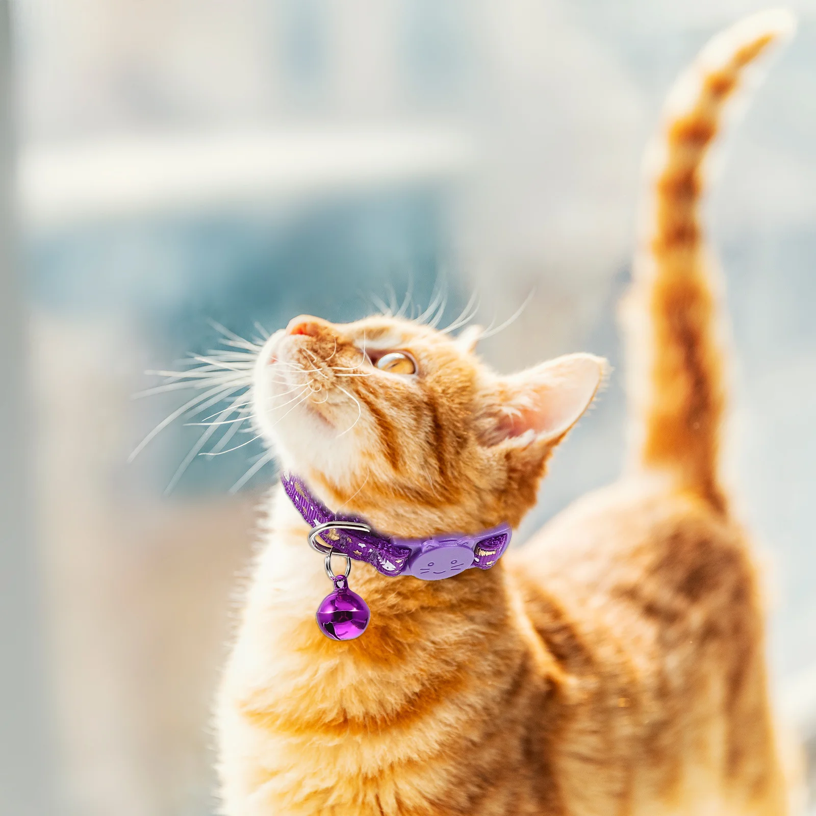 

2Pcs Night Glow Reflective Cat Collar Adjustable Length Breakaway Cat Collar Comfortable Walking Running Outdoor Safety Ring