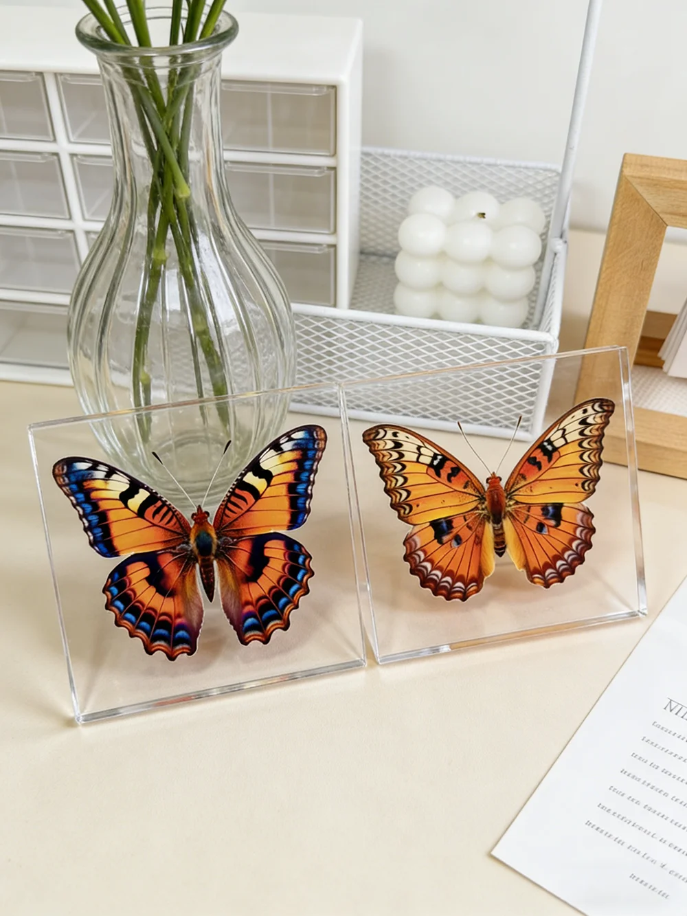 1 Stück Handgefertigtes Schmetterlings-Exemplar als Schreibtischdekoration, Kleine Ornament-Deko für Zuhause, Geschenk für Kinder und Mädchen – Detail 8