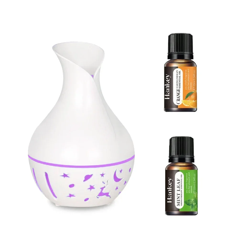 200ml Essential Oil Diffuser, USB Air Humidifier, Mini Mist Machine with Colored Lights for Home & Office, Includes Two Oils