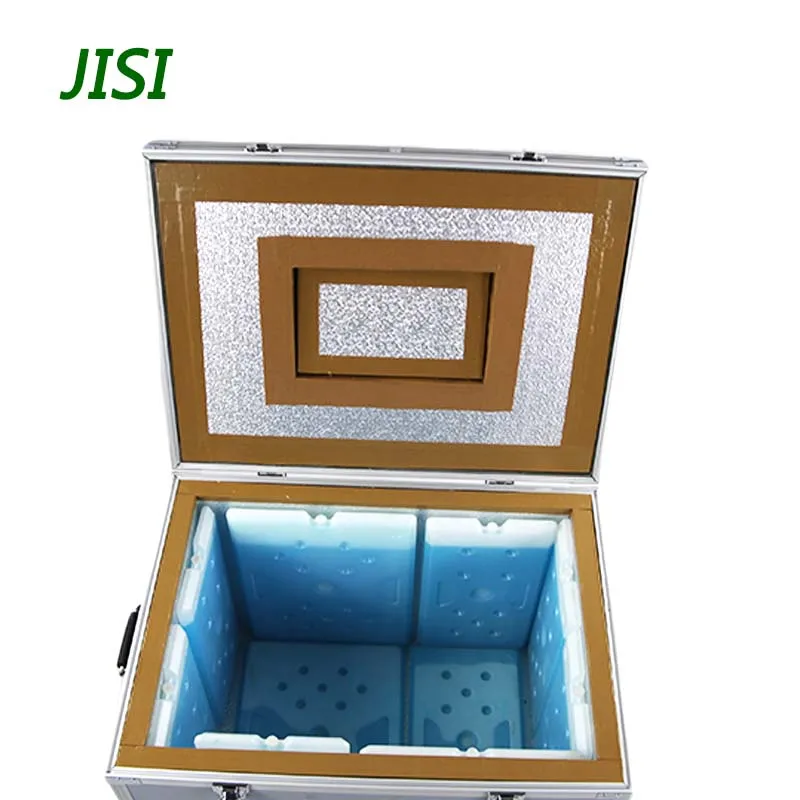 High quality portable ice cream display ice cream freezer cooler box with ice brick