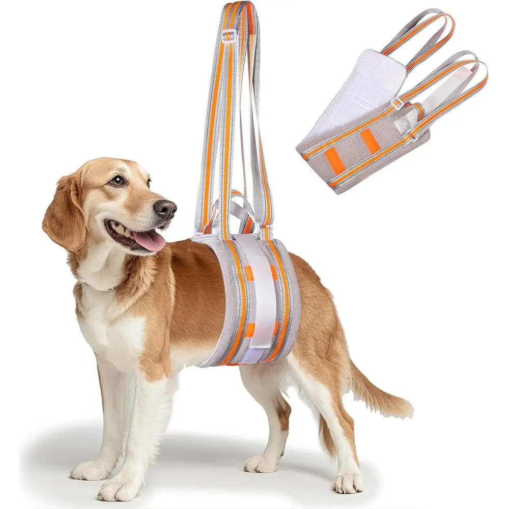 

Средний шлейка для поддержки собак для слабого задницы ног, идеально подходит для пожилых людей, травм, хирургия после АКЛ, 25-70 фунтов