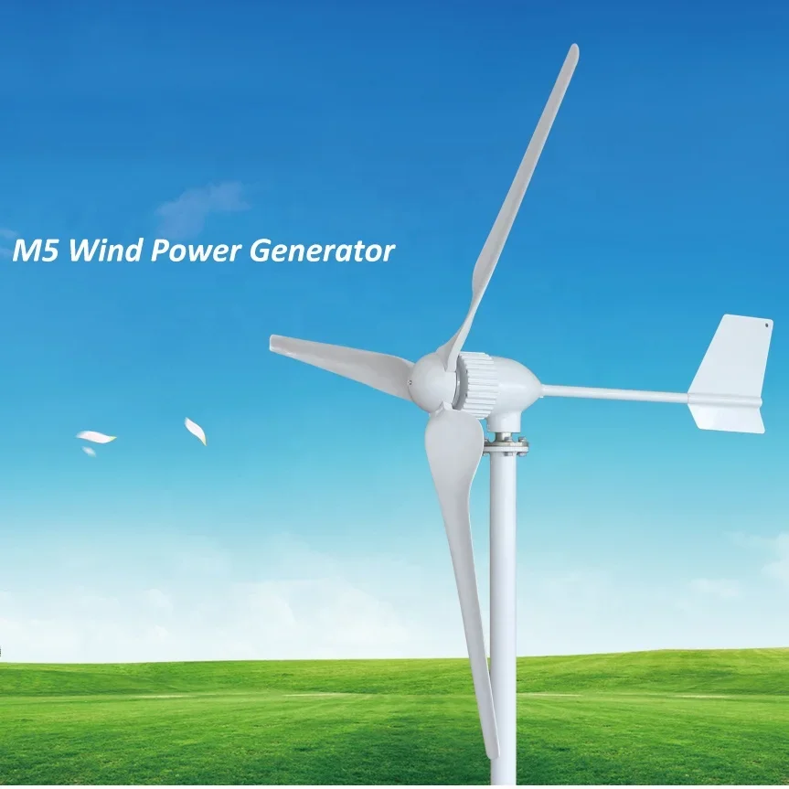 1000W 24V or 48V Strong Wind Turbine / Wind Generator / 1KW Windmill System FT-1000M5