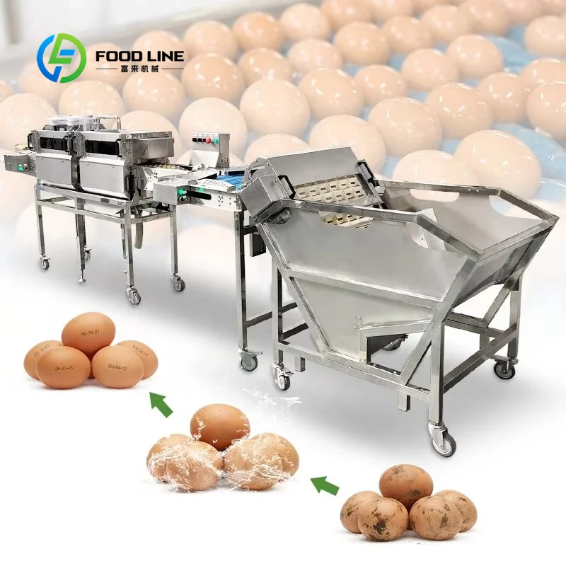 Custom Multifunctional Egg Processing Machinery, Automatic Chicken Quail Egg Washing Cleaning and Grading Sorting Machine