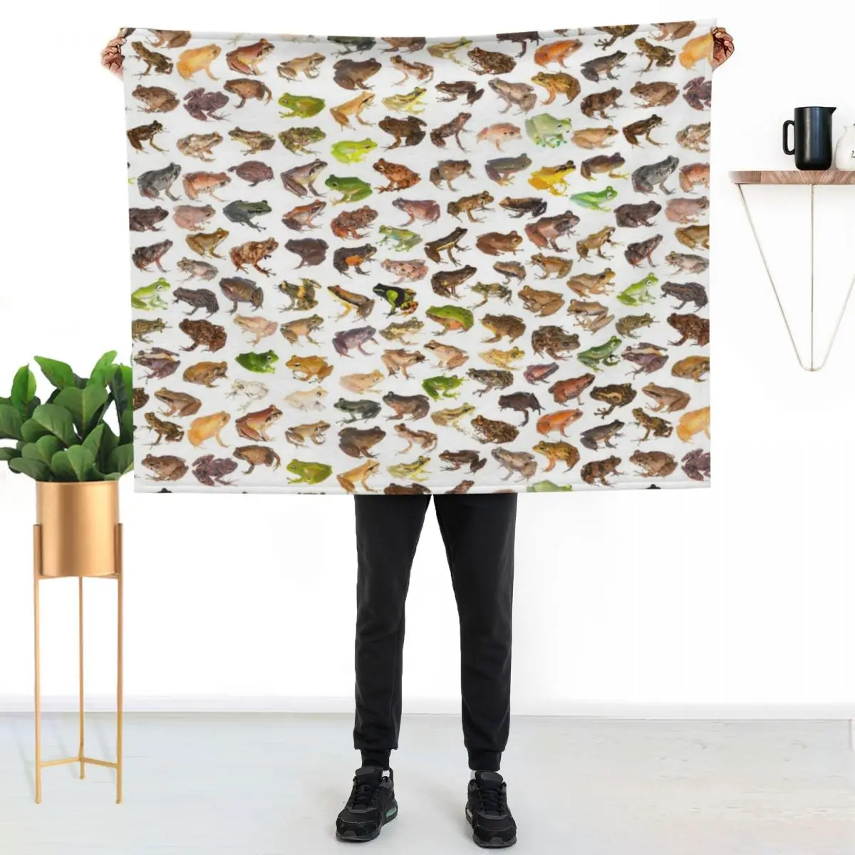 101 Frogs of Madagascar, First Edition Throw Blanket Decorative Throw Hair Sofa Quilt for sofa Soft Plaid Blankets