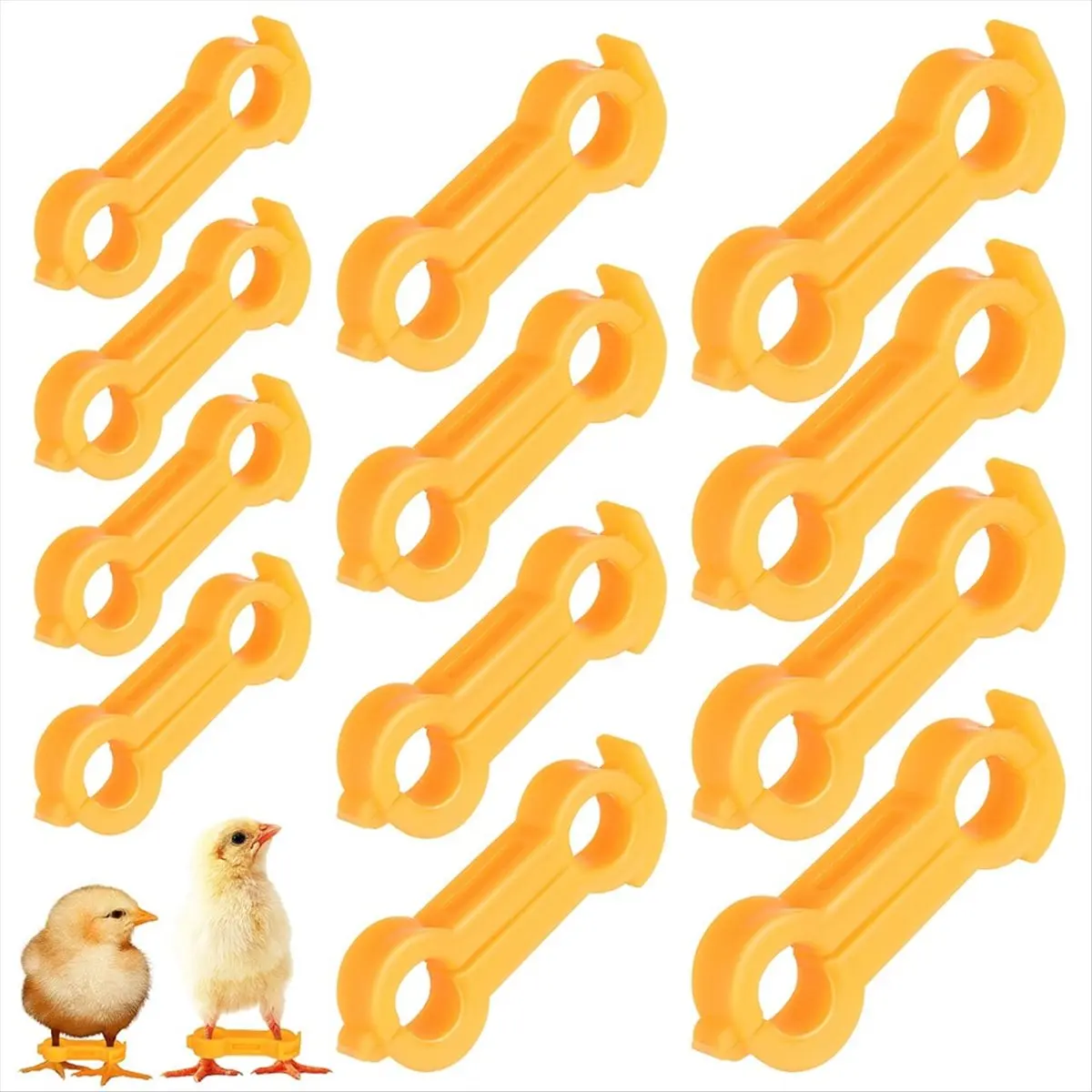 Final~~12Pcs Baby Chick Splay Leg Hobble Brace, Baby Chick Leg Hobbles, Poultry Leg Bands, Chicken Hobble Braces