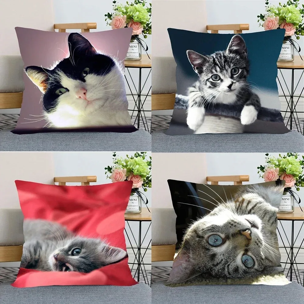 Niedlicher Katzen-Kissenbezug, doppelseitig bedruckt, 2D-Druck, weicher Polyester-Kissenbezug für Wohnzimmer, Schlafzimmer, Sofa, Couch, Haustier-Deko, verspieltes Geschenk