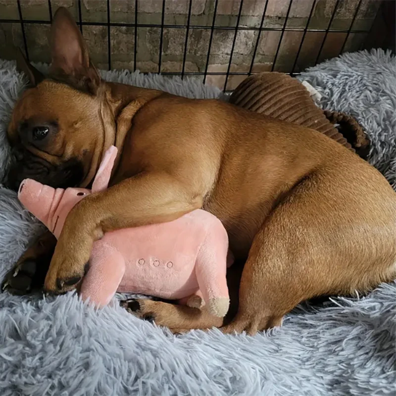 1pc Cute Pig Design Pet Teething Plush Toy, Durable Chew Toy, Interactive Supplies for Dogs