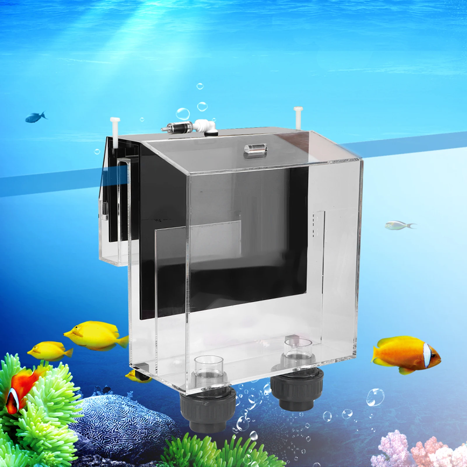 Quality Acrylic Self start Sip - Marine Aquarium Overflow Box 评论和价格