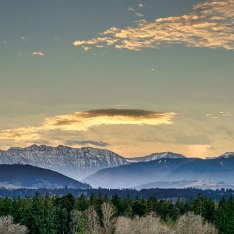 

Металлический 52T скользящий центр сцепления, прямой вал-W170 для TRXS 1/8 4WD SLEDG, детали для обновления радиоуправляемого автомобиля, аксессуары