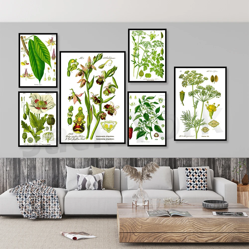 Printable Wall Art, Floral Wall Art, Botanical illustration poster, Vintage floral Botanical Wall Decor Ideas