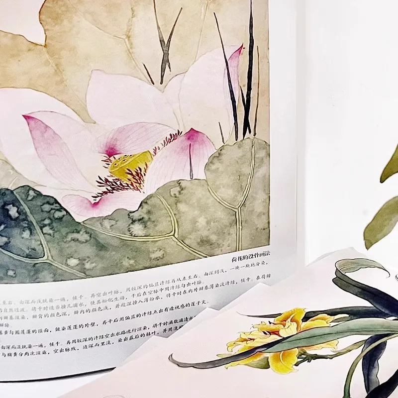 Chinese Flower & Bird Sketching: Traditional Live Drawing Techniques with Ink Wash Tutorial Book