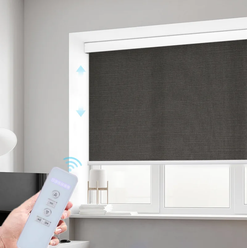 Smart App Control Roller Blinds 100%Blackout Solar Panel Charge Alexa Google Matter Rechargeable Roller Zebra Shades For Bedroom