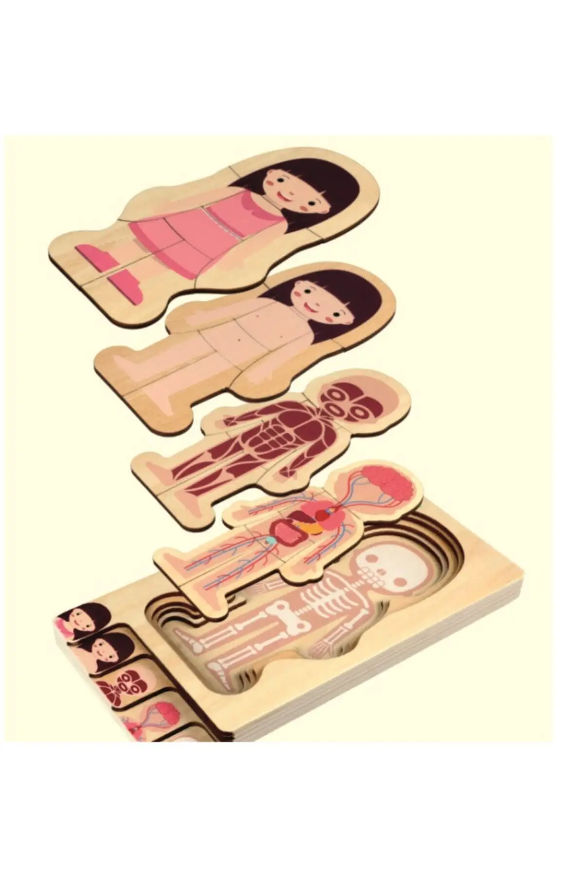 Menselijk Lichaam Anatomie Learning Houten Puzzel