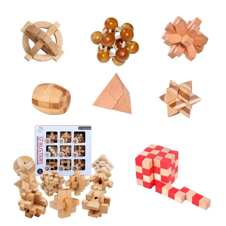 Classic Puzzle Mind Brain Teaser 2D 3D Wooden Puzzles Educational Game for Adults Children