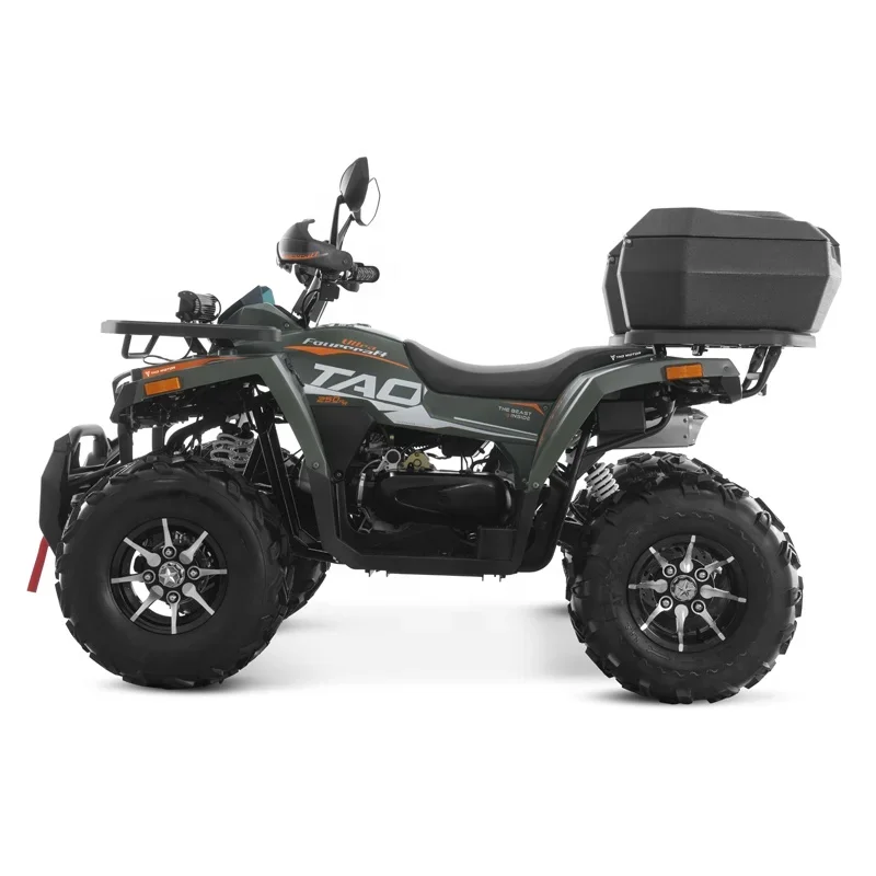 2024 New Side By Sides 4x4 Quad Bike 250cc ATV With CE EPA ECE Certificate