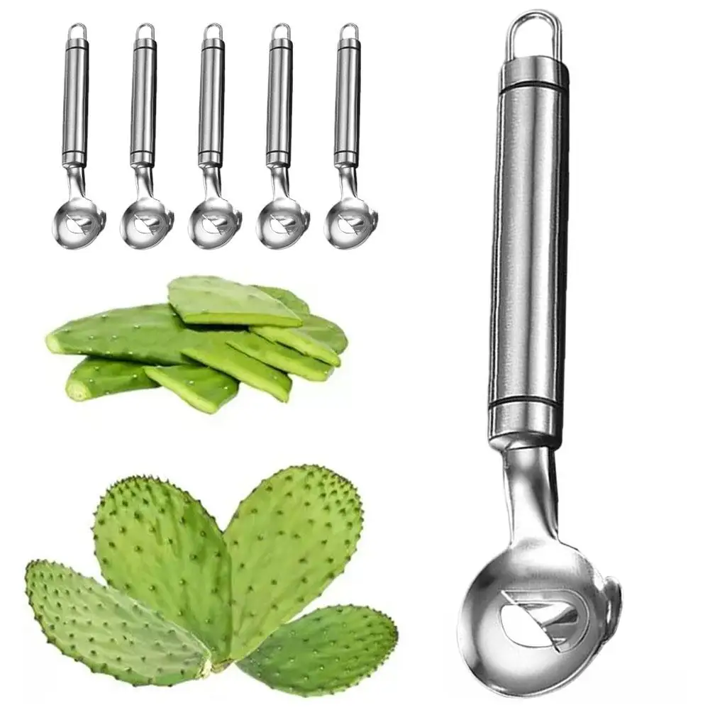 Stainless Steel Cactus Peeler Spoon 1Pcs Spoon Shaped Nopales Peeler for Home Kitchen Manual Tool