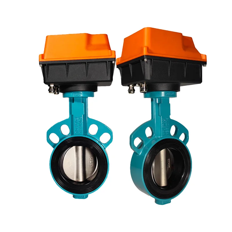 

Задвижка-поворотный клапан из ковкого чугуна 2 дюйма, фланцевая, с электроприводом DC24V, для регулирования потока воды