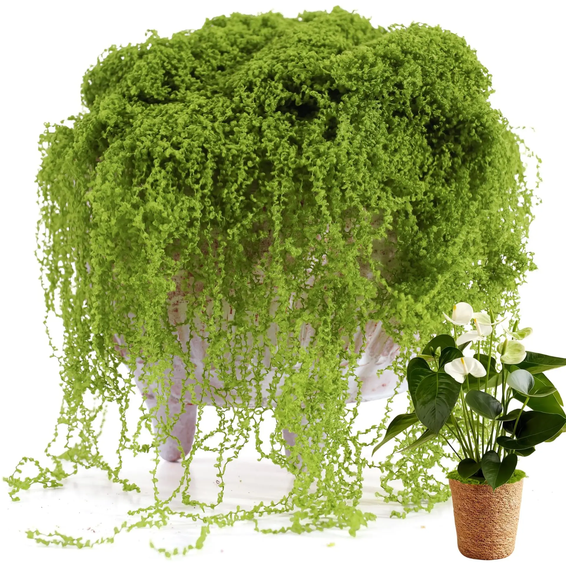 Kunstmatig groen mos, nep-gedr - Sphagnum Moss Dry recensie en prijs