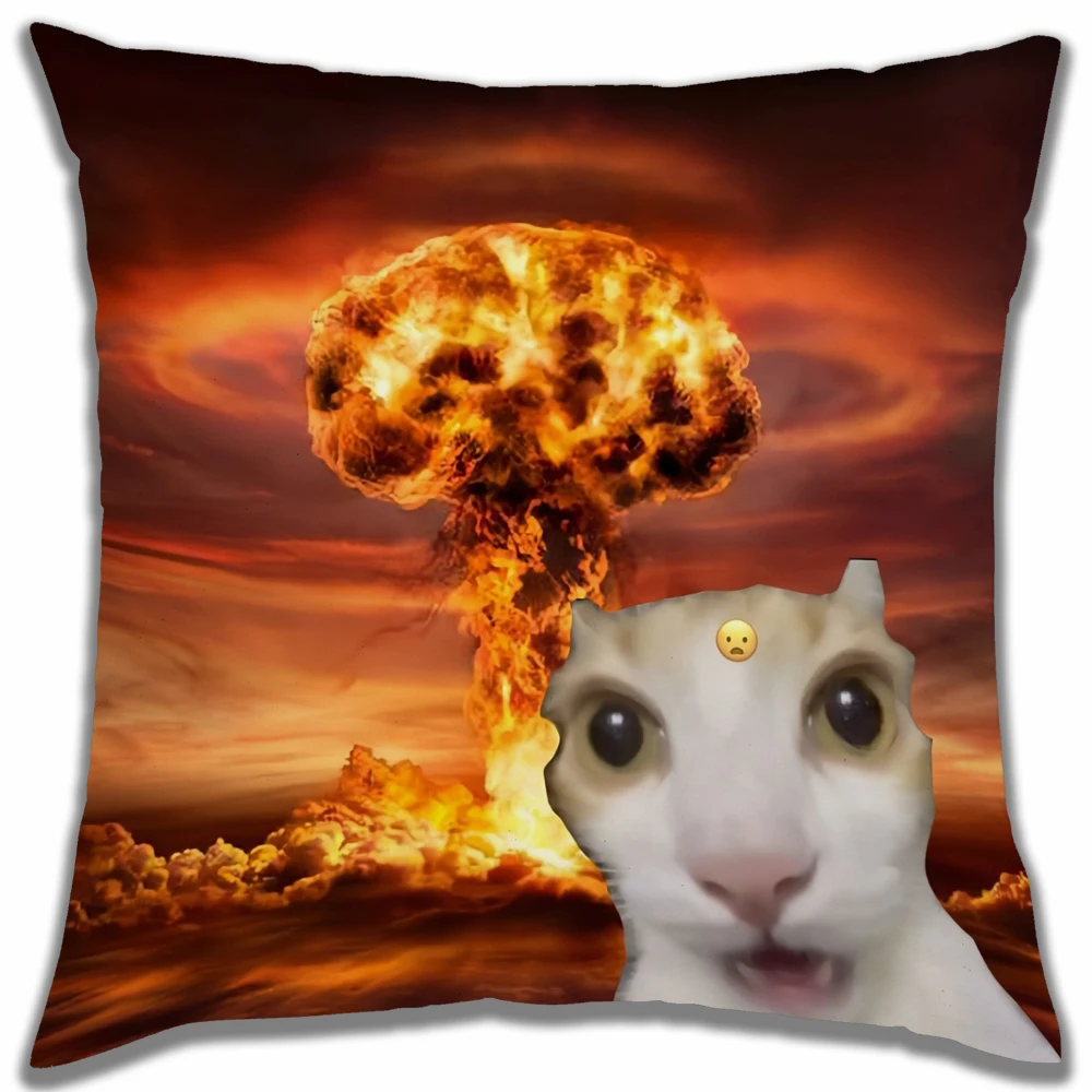 Dread Cat Meme cushion cover soft cat funny Pillow Case for Sofa meme Living Room Home office decoror and Protective Covers 1PC