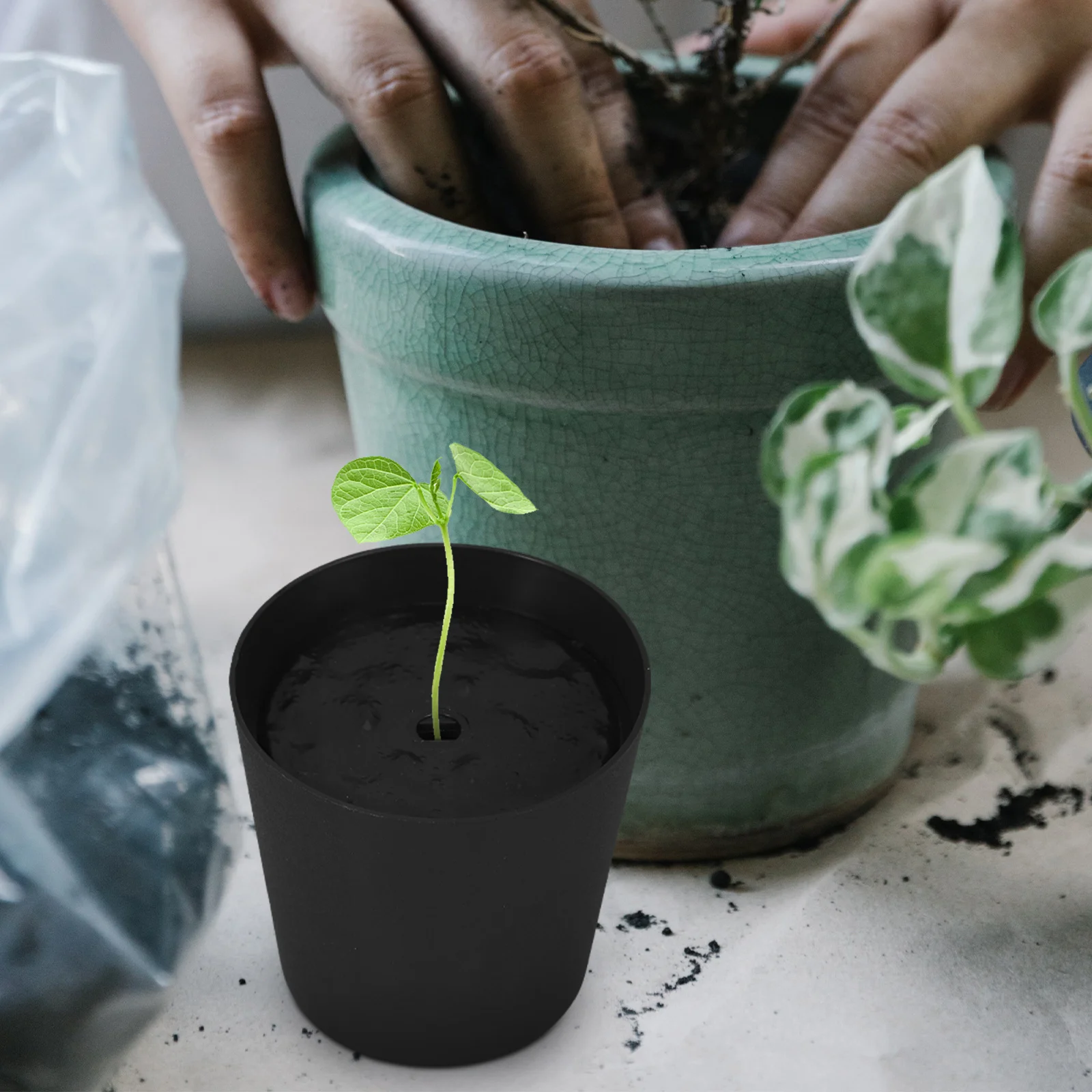 

10Pcs Stylish Balcony Plant Holders Thickened Plastic Flower Boxes with Lid for Bonsai Trees Large Indoor Outdoor Plants Nordic